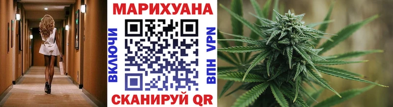 Канабис OG Kush  Светлоград 